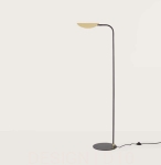 Ficus Aromas lampa podłogowa