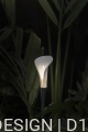 #3 Bloom.jpg